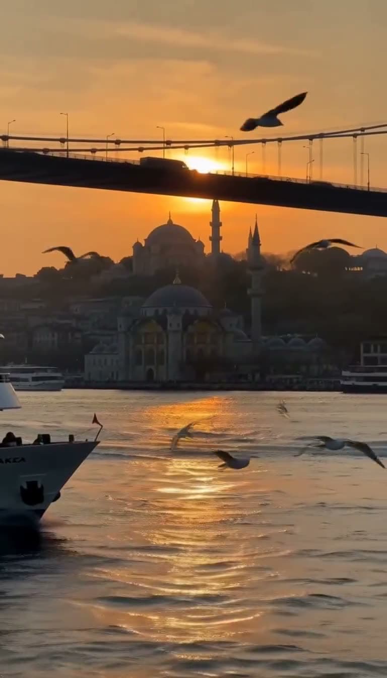 A ferry crossing the Bosphorus with seagulls overhead, golden hour light. Still from a video made with MiniMax H3 Max Turbo.